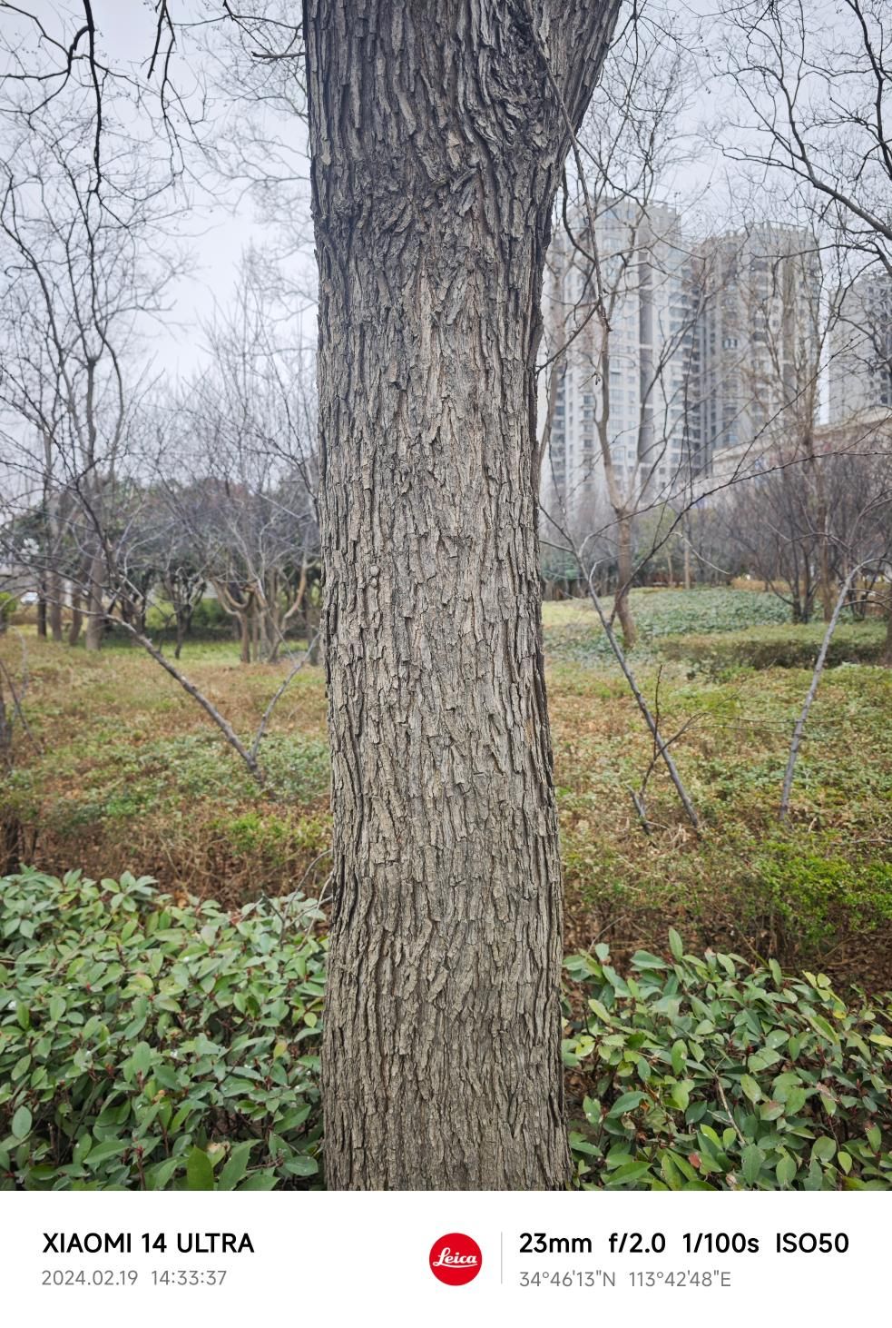小米14 Ultra评测，重回顶级影像时代