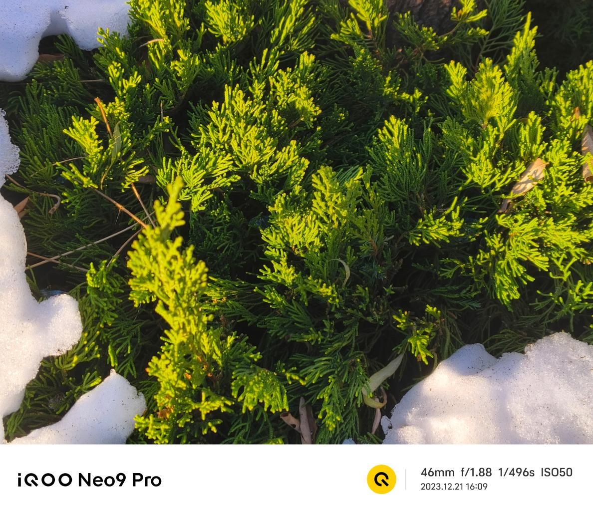 全新研发！IQOO Neo9 Pro内外焕新设计全面评测