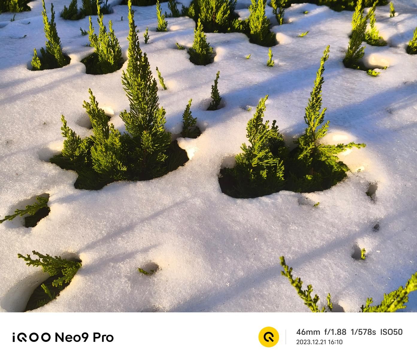 全新研发！IQOO Neo9 Pro内外焕新设计全面评测