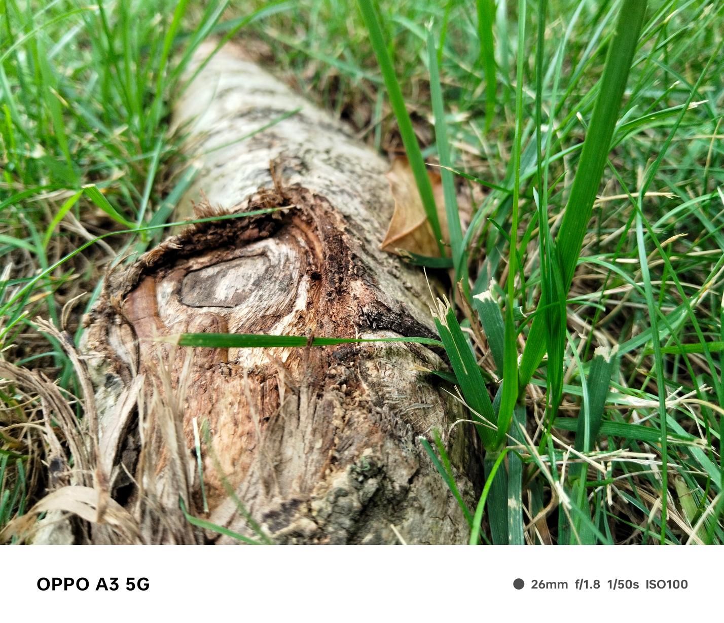 OPPO A3，耐用与性能的完美结合