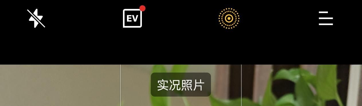 黑厂计划推出Coloros？iOS系统可能迎来新革命