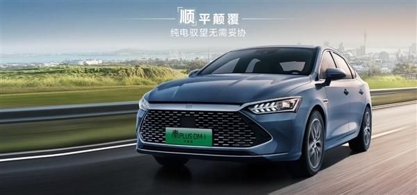 2024年上半年汽车销量排行榜，秦Plus依旧冠军