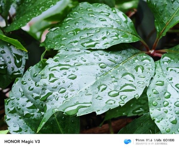 荣耀Magic V3实力与轻和性并存，你值得拥有吗?