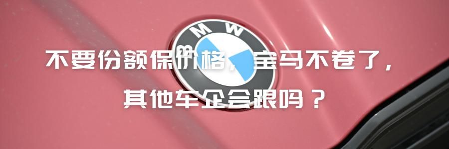 人祸致海难，过度依赖私家车引发的全球海啸灾害分析与应对策略