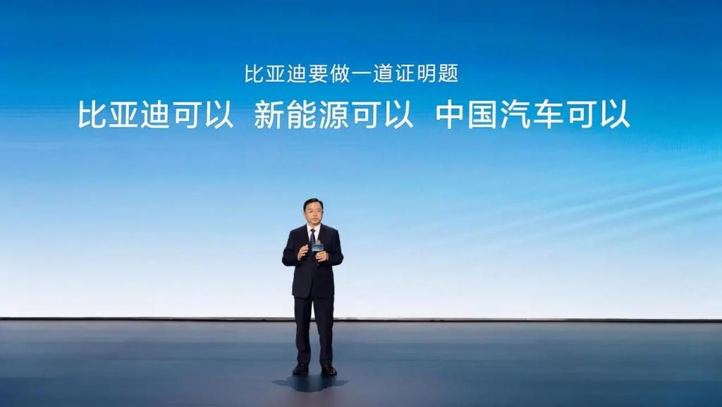 2024年我国国内新能源汽车市场销量排名