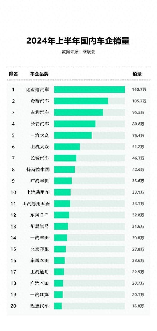 2024年我国国内新能源汽车市场销量排名