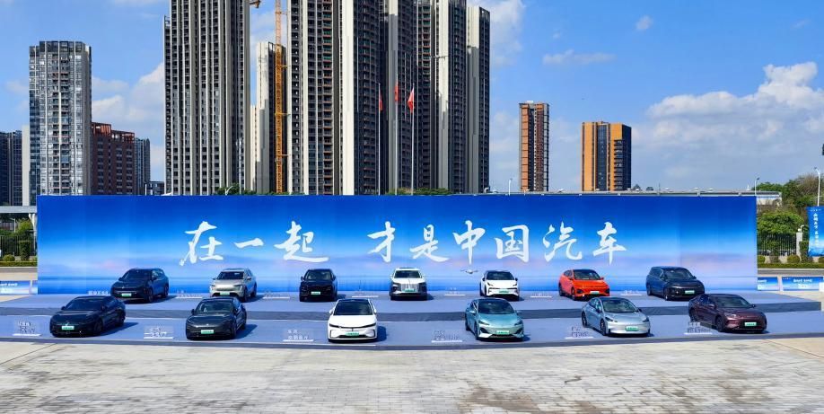 2024年我国国内新能源汽车市场销量排名