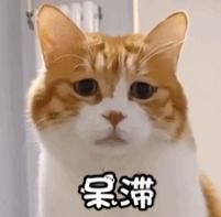 中国人真的这么有钱吗？一年买辆车的花费竟然高达18万！