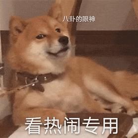 中国人真的这么有钱吗？一年买辆车的花费竟然高达18万！