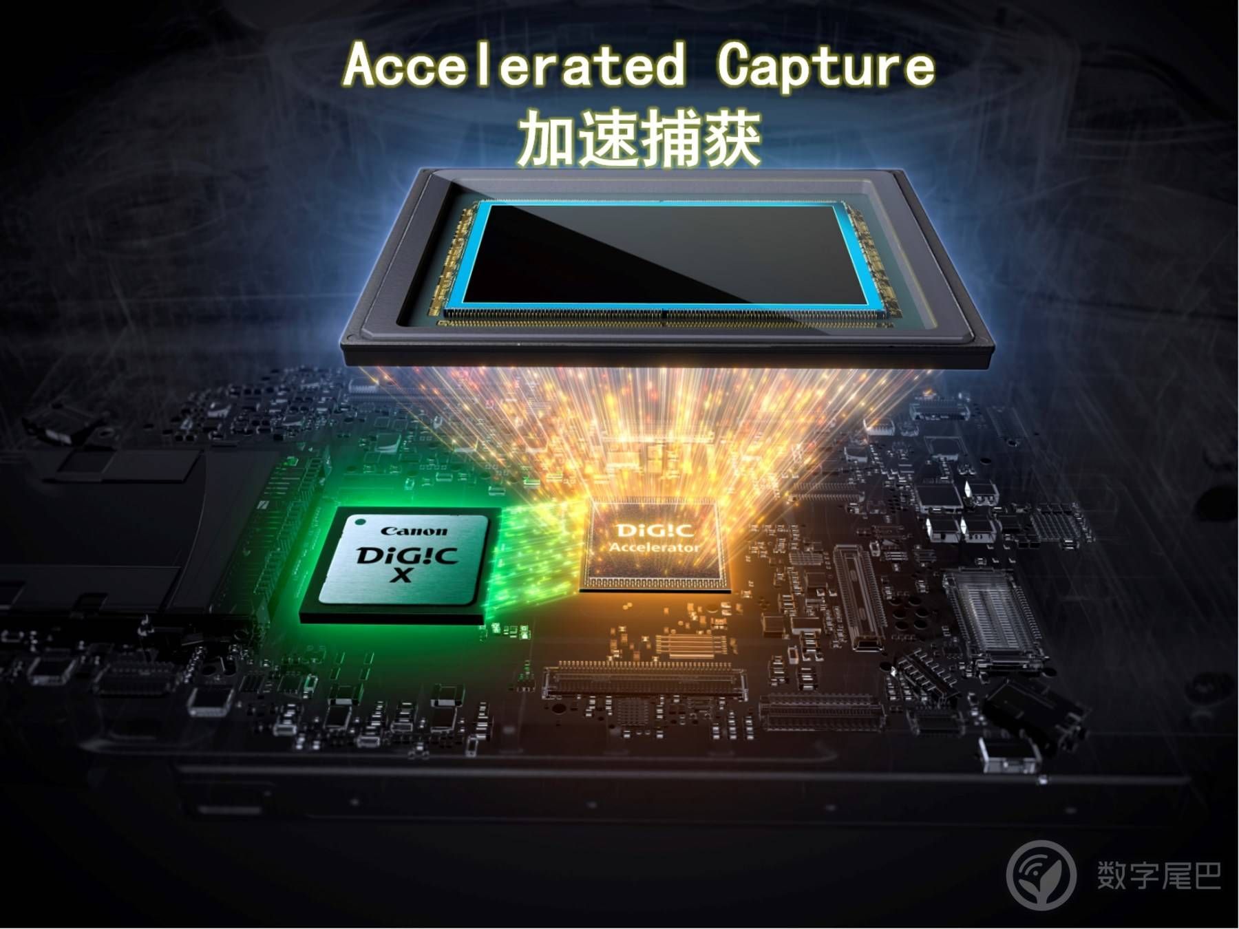 佳能发布新微单，EOS R1/5马克2号