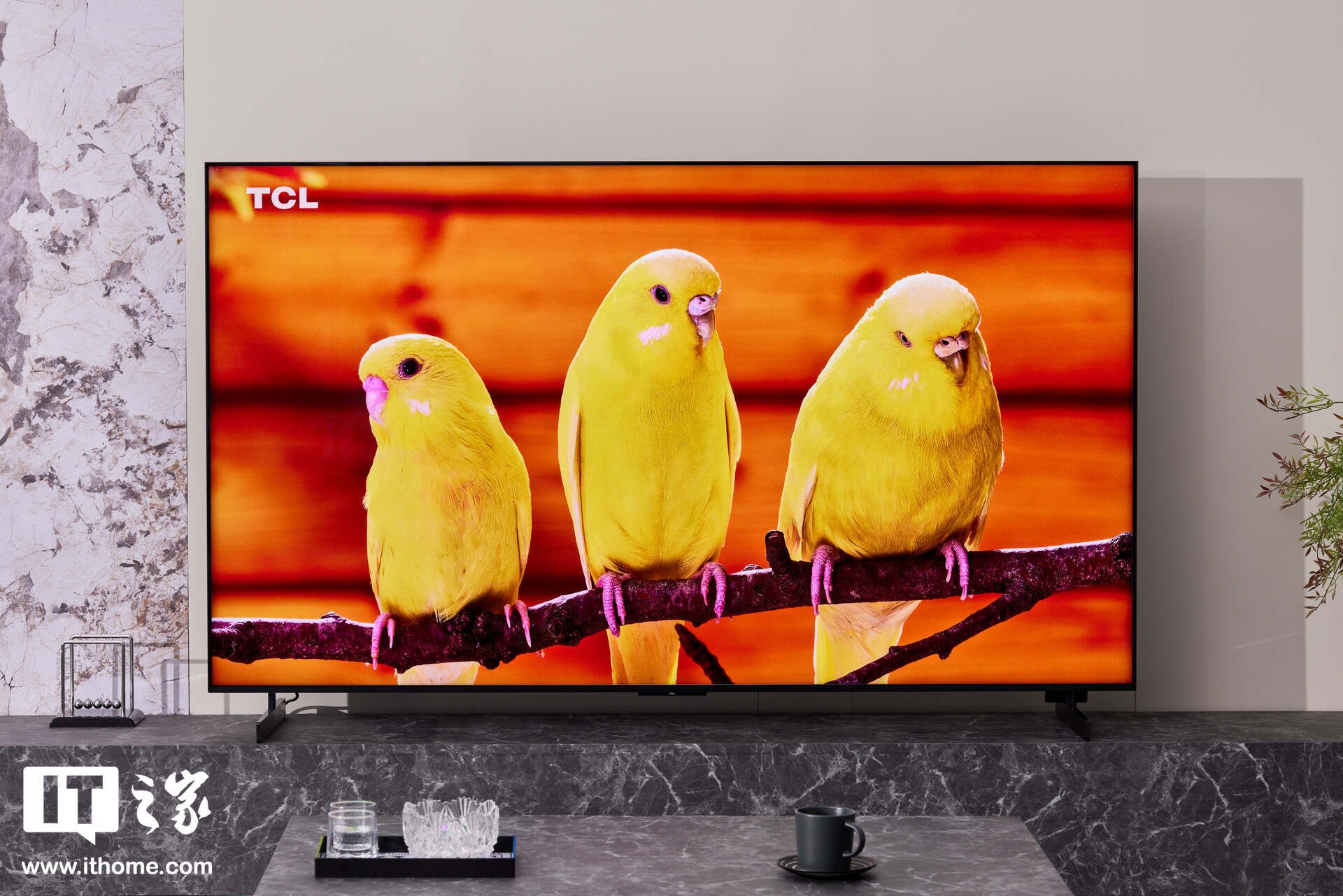 TCL 11H LED QD迷你LED电视，精彩画面展现