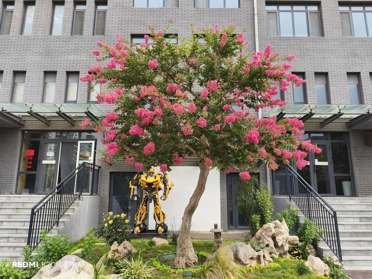 红米K70系列震撼发布！滚之王再次出击！