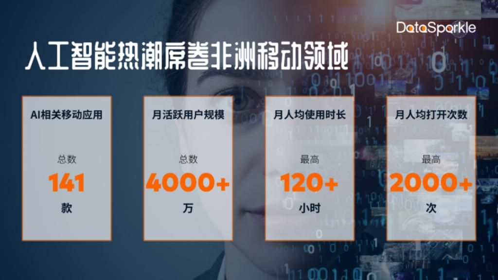 非洲 AI崛起，潜力无限的发展领域
