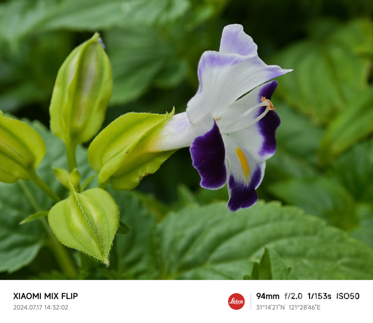 小米MIX翻盖评测，全面性能旗舰开测