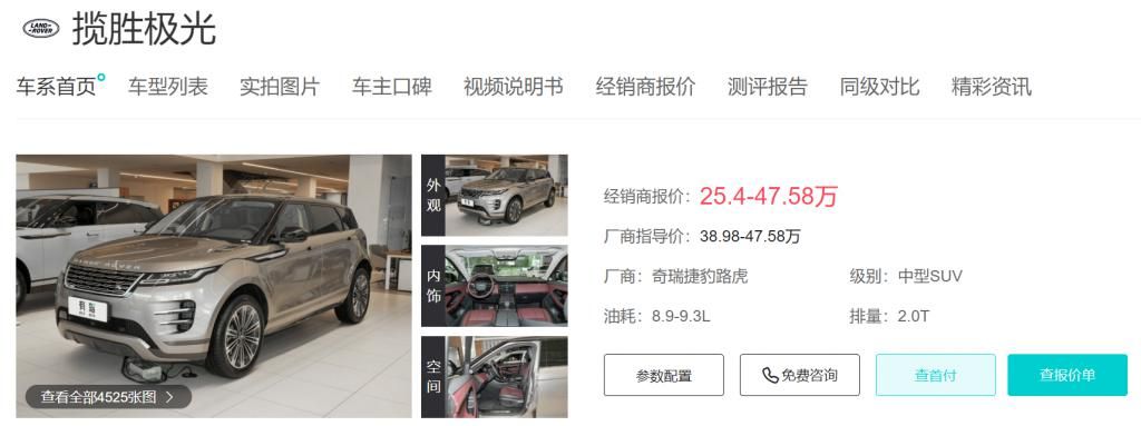 腿神路虎，不屈的坚韧与痛苦的交织