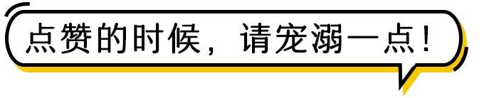 腿神路虎，不屈的坚韧与痛苦的交织