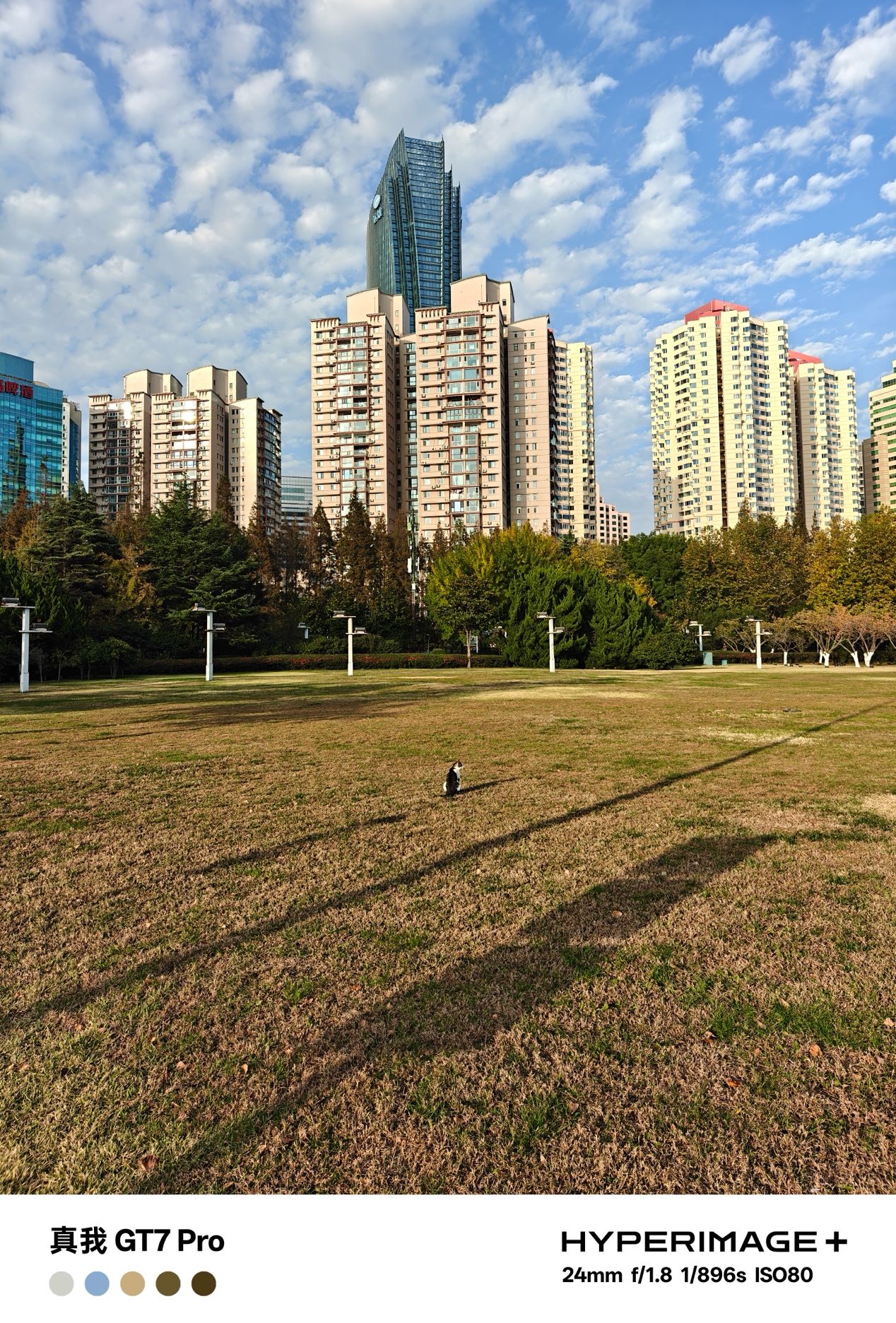 真我GT7 Pro 体验评测,性能影像既要又要 真我GT7 Pro 体验评测,性能影像既要又要