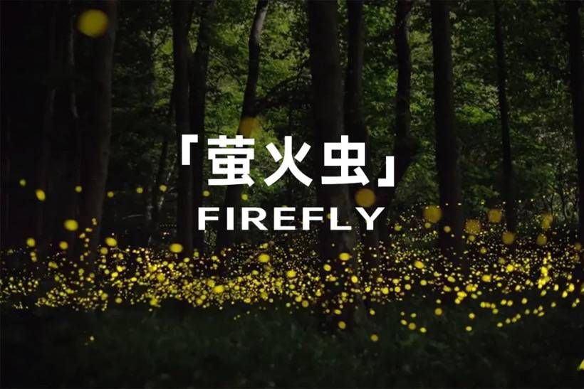 蔚来要做「混动」车型了？李斌回应…
