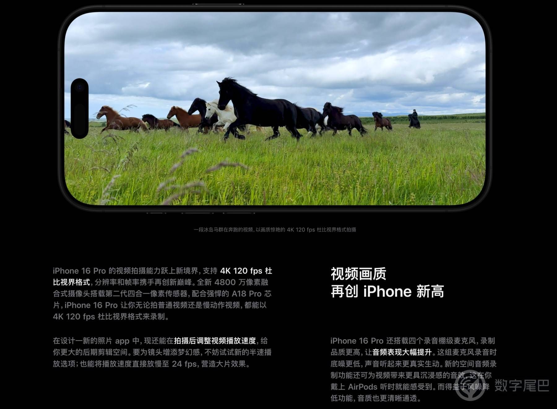 手慢无！iPhone 16 系列今晚 8 点正式预售